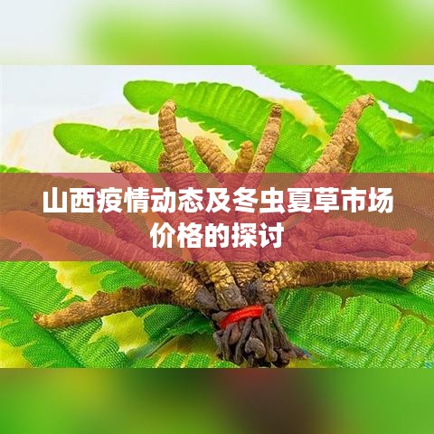 山西疫情动态及冬虫夏草市场价格的探讨