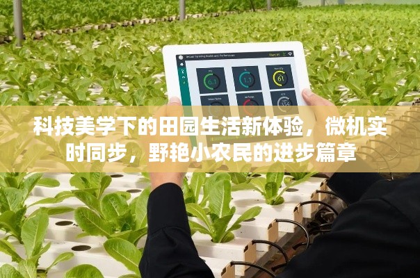 科技美学下的田园生活新体验,微机实时同步,野艳小农民的进步篇章