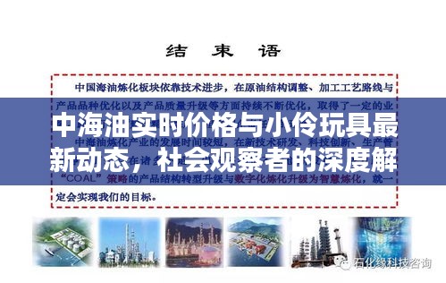 中海油实时价格与小伶玩具最新动态,社会观察者的深度解读
