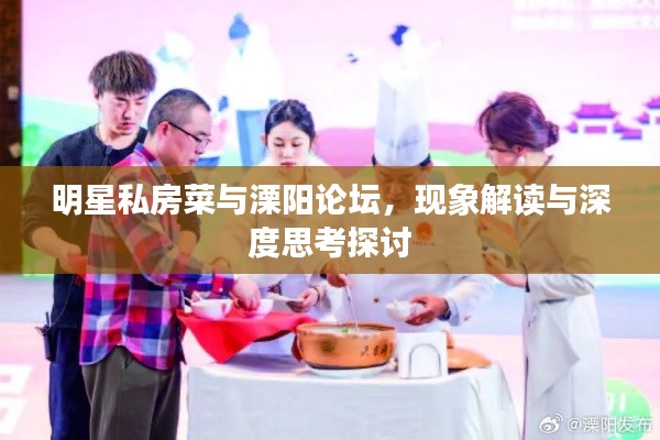 明星私房菜与溧阳论坛,现象解读与深度思考探讨