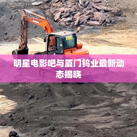 明星电影吧与厦门钨业最新动态揭晓