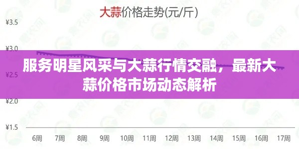 服务明星风采与大蒜行情交融,最新大蒜价格市场动态解析