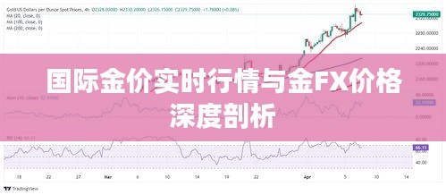 国际金价实时行情与金FX价格深度剖析