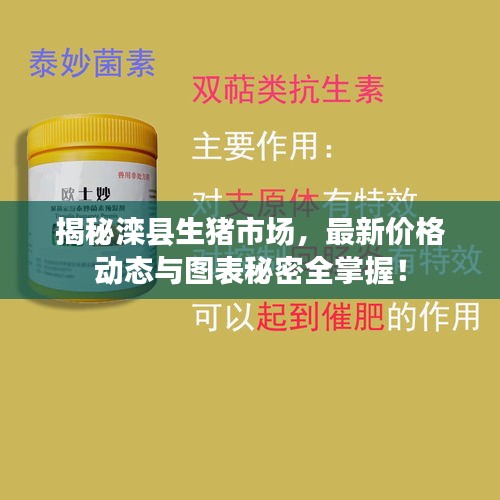 揭秘滦县生猪市场，最新价格动态与图表秘密全掌握！