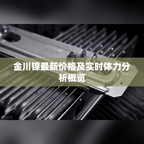 金川镍最新价格及实时体力分析概览