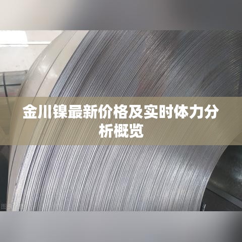 金川镍最新价格及实时体力分析概览