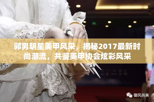 郭男明星美甲风采,揭秘2017最新时尚潮流,共鉴美甲协会炫彩风采