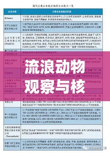 流浪动物观察与核桃价格走势研究，深度探析