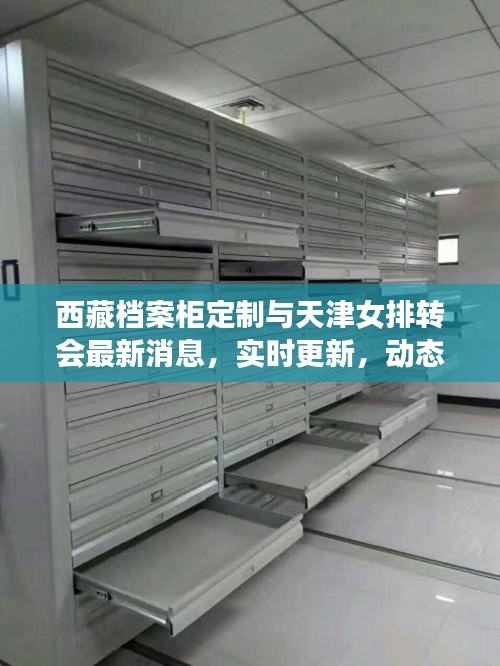 西藏档案柜定制与天津女排转会最新消息,实时更新,动态全掌握!