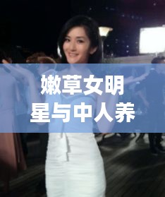 嫩草女明星与中人养老金最新消息，深度解析与真实宣传警示