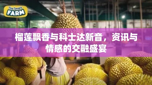 榴莲飘香与科士达新音,资讯与情感的交融盛宴