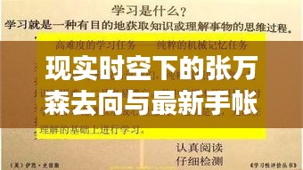现实时空下的张万森去向与最新手帐胶带,深度解析其内在关联及潜在影响