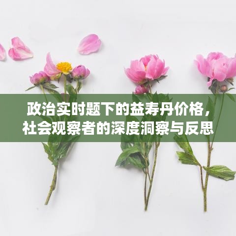 政治实时题下的益寿丹价格，社会观察者的深度洞察与反思