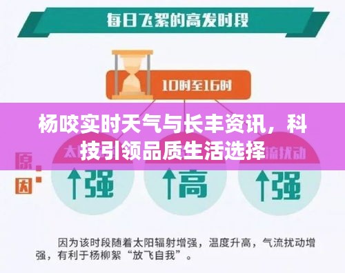 杨咬实时天气与长丰资讯，科技引领品质生活选择