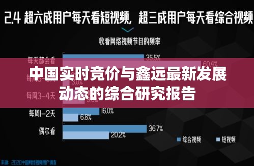 中国实时竞价与鑫远最新发展动态的综合研究报告
