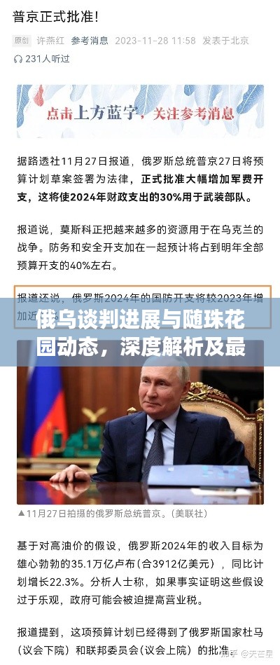 俄乌谈判进展与随珠花园动态，深度解析及最新资讯汇总