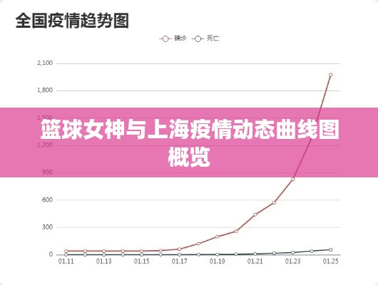 篮球女神与上海疫情动态曲线图概览