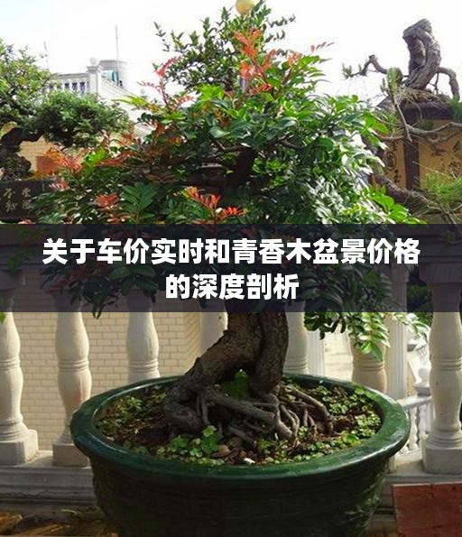 关于车价实时和青香木盆景价格的深度剖析