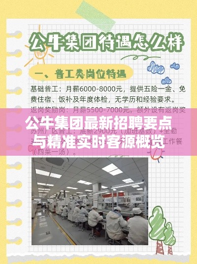公牛集团最新招聘要点与精准实时客源概览