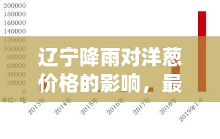 辽宁降雨对洋葱价格的影响,最新价格直播与观点平衡分析