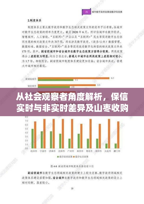 从社会观察者角度解析,保信实时与非实时差异及山枣收购价格洞察