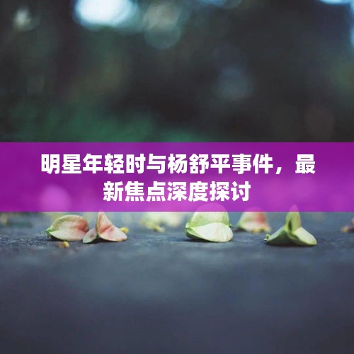 明星年轻时与杨舒平事件,最新焦点深度探讨