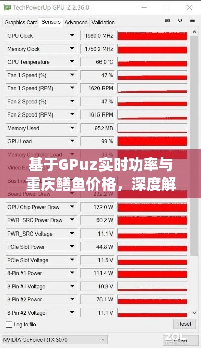 基于GPuz实时功率与重庆鳝鱼价格,深度解析与指导识别防范虚假宣传
