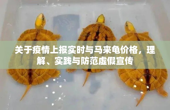 关于我们 第21页