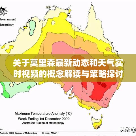 关于莫里森最新动态和天气实时视频的概念解读与策略探讨