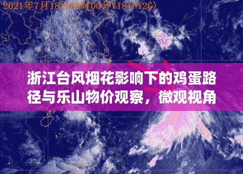 浙江台风烟花影响下的鸡蛋路径与乐山物价观察,微观视角探究社会现象