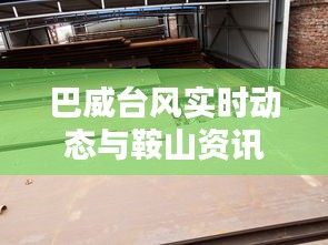 巴威台风实时动态与鞍山资讯同步更新，彝族电影新动向关注中