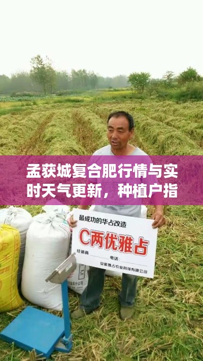 孟获城复合肥行情与实时天气更新,种植户指南
