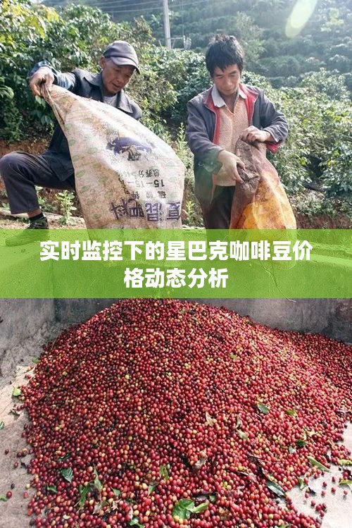 实时监控下的星巴克咖啡豆价格动态分析