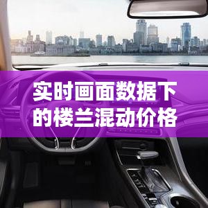 实时画面数据下的楼兰混动价格分析