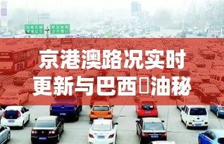 京港澳路况实时更新与巴西焗油秘籍揭秘