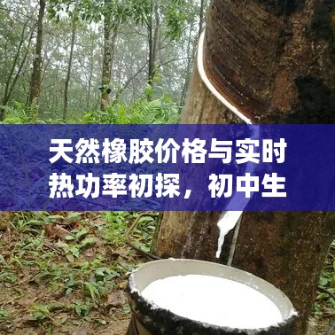 天然橡胶价格与实时热功率初探,初中生易懂的科普知识讲座