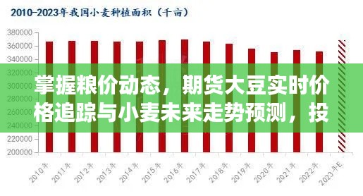 掌握粮价动态,期货大豆实时价格追踪与小麦未来走势预测,投资前沿洞察!