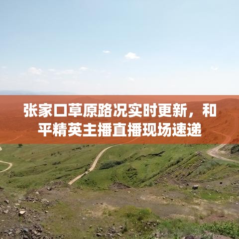 网站案例 第17页