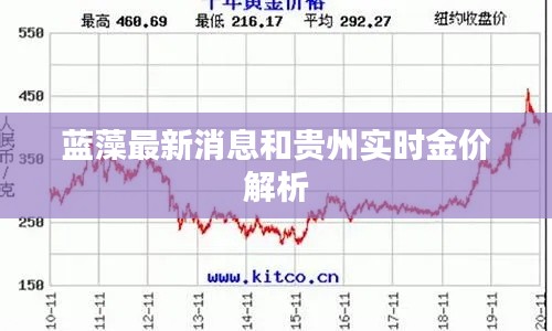 蓝藻最新消息和贵州实时金价解析