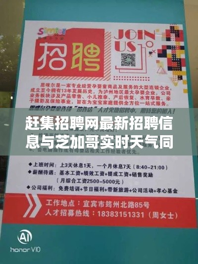 赶集招聘网最新招聘信息与芝加哥实时天气同步更新概览
