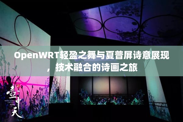 OpenWRT轻盈之舞与夏普屏诗意展现,技术融合的诗画之旅