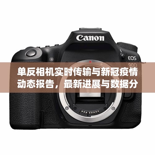 单反相机实时传输与新冠疫情动态报告,最新进展与数据分析