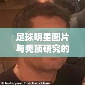 足球明星图片与秃顶研究的科技美学,年轻生活的便捷选择探索