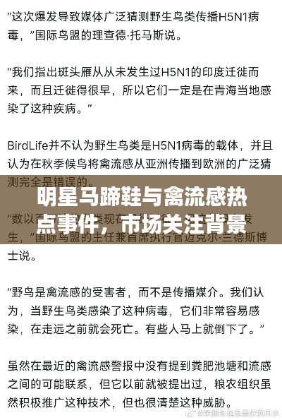 明星马蹄鞋与禽流感热点事件,市场关注背景及展望