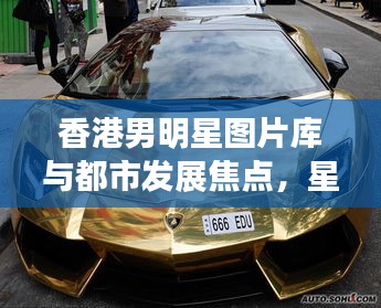 香港男明星图片库与都市发展焦点,星光闪耀与上海车牌最新价格概览