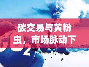 碳交易与黄粉虫，市场脉动下的生态微观观察