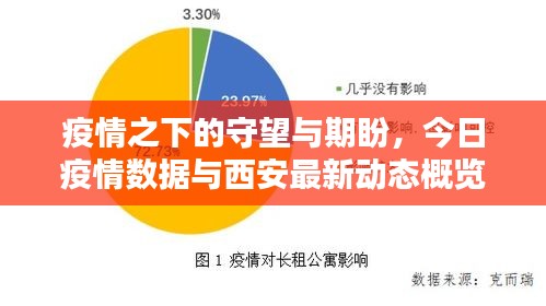 疫情之下的守望与期盼,今日疫情数据与西安最新动态概览