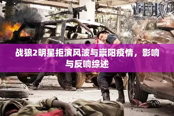战狼2明星拒演风波与崇阳疫情,影响与反响综述