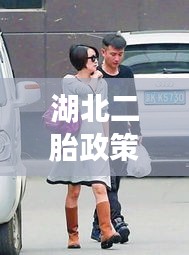 建站服务 第14页