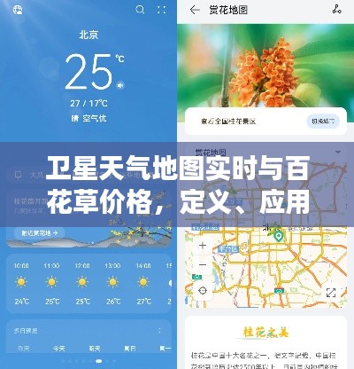 卫星天气地图实时与百花草价格,定义、应用及防范